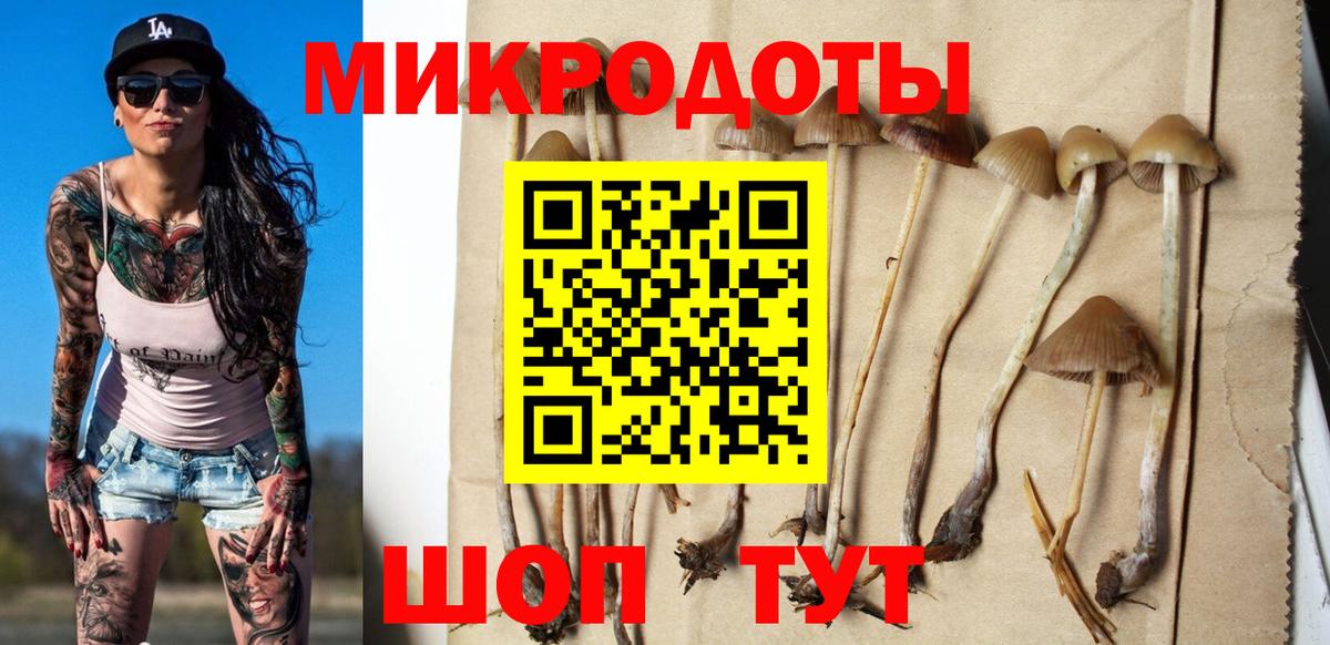Псилоцибиновые грибы мицелий Новодвинск