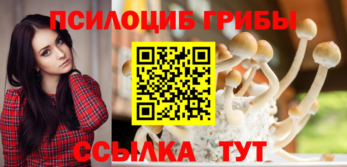 Новодвинск  Псилоцибиновые грибы мухоморы  Вход с VPN  Псилоцибиновые грибы ЛСД 